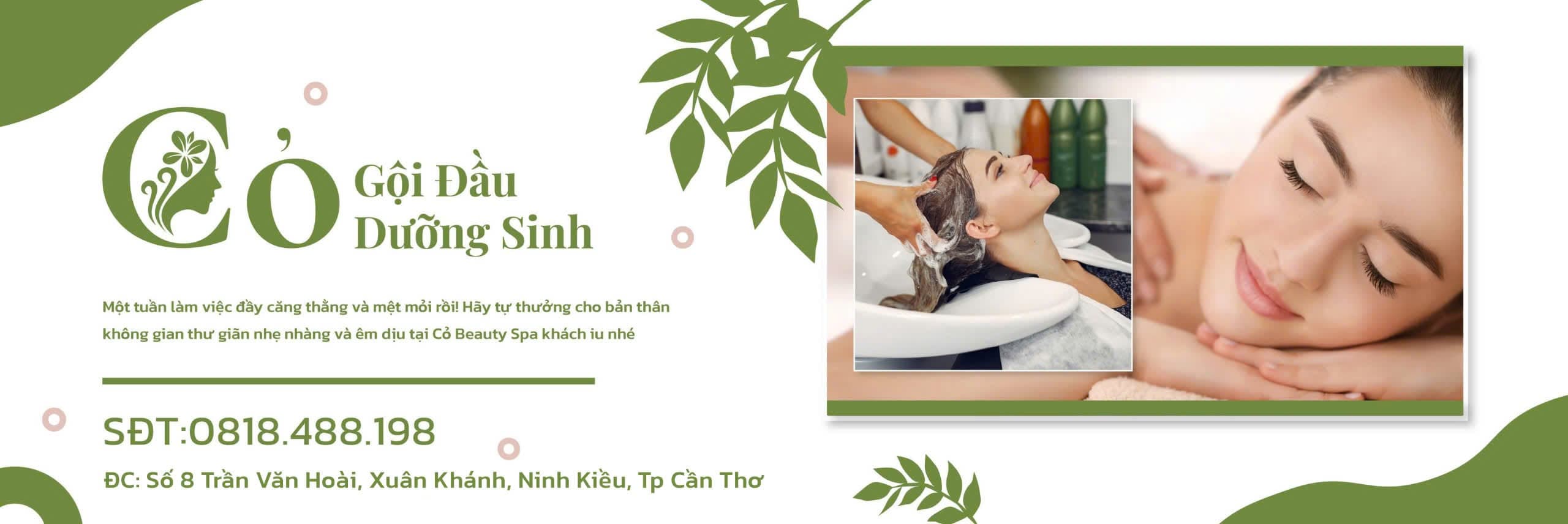 Cỏ - Gội Đầu Dưỡng Sinh